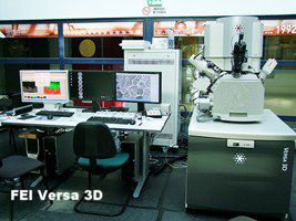 FEI-versa3D