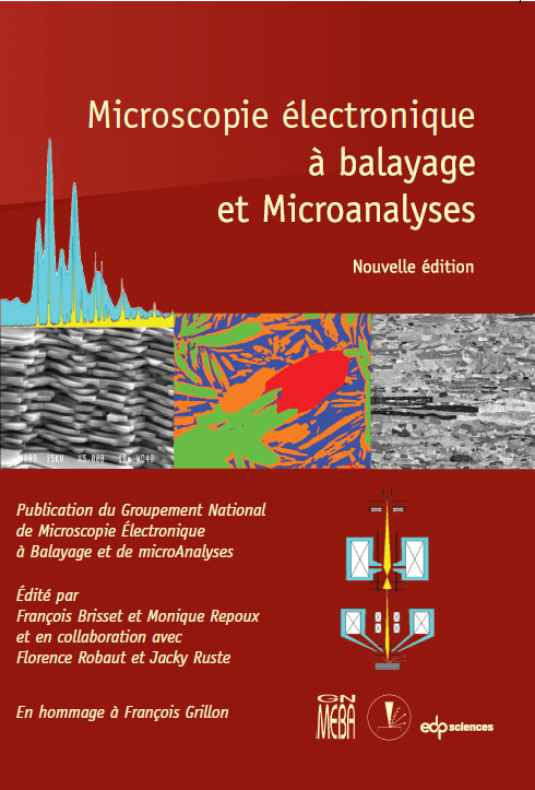 MEB et MicroAn