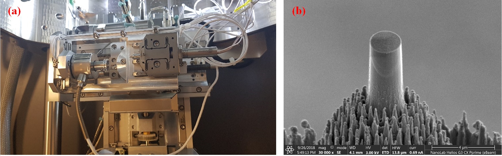 fig 1 - florent.mignerot@univ-poitiers.fr